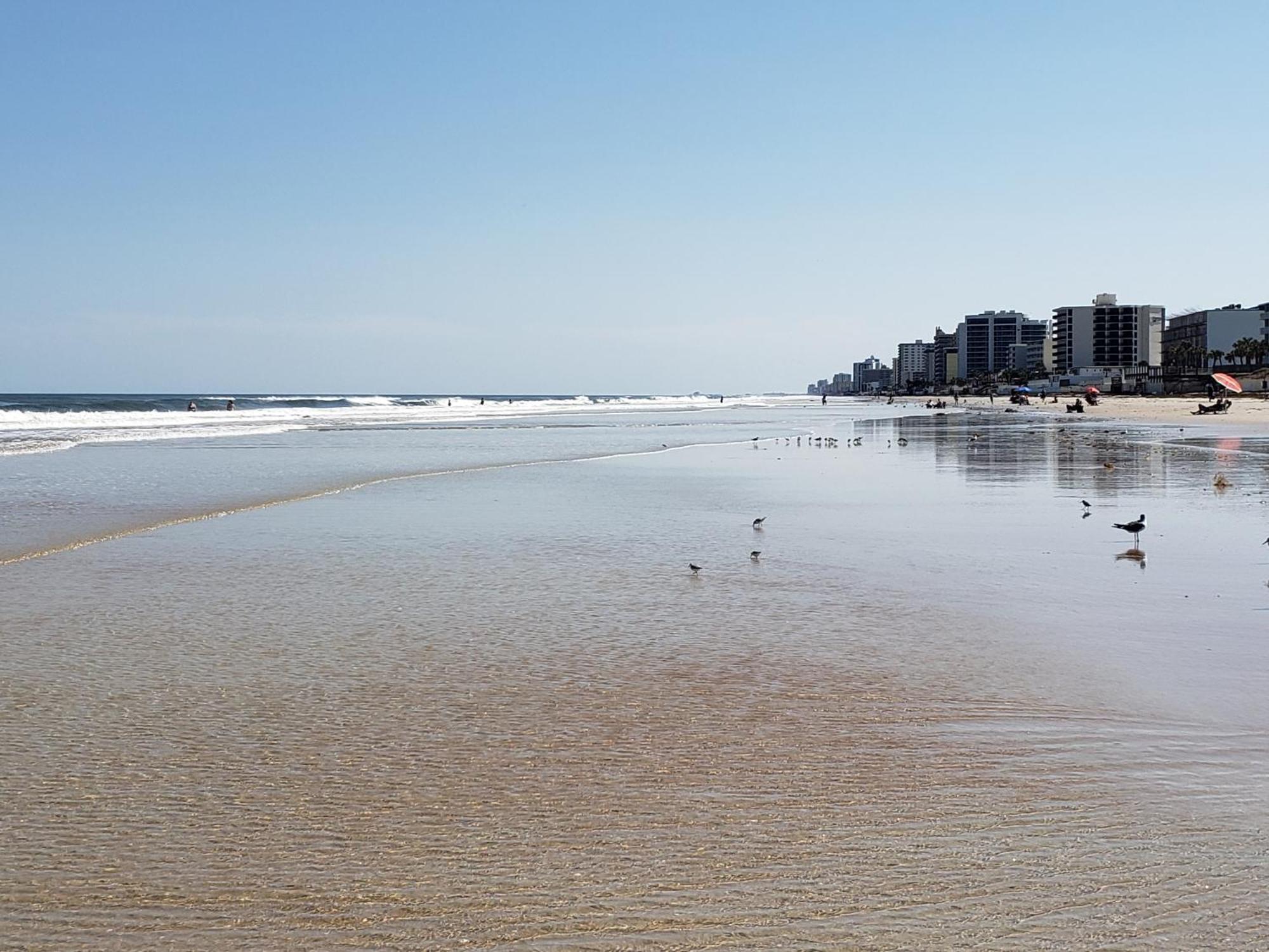 Beachside Bliss Ocean Views & Endless Fun Daytona Beach! Esterno foto