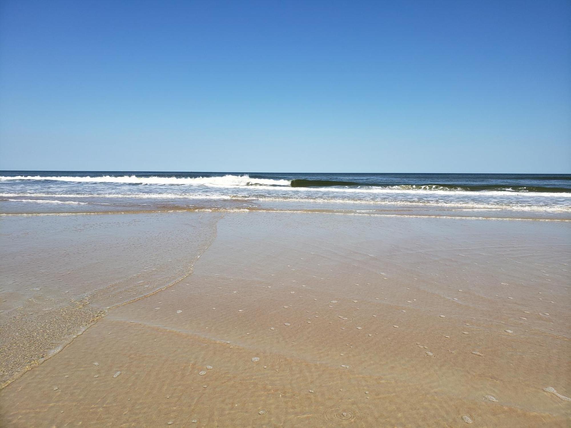 Beachside Bliss Ocean Views & Endless Fun Daytona Beach! Esterno foto